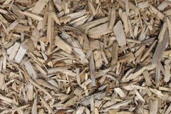 biomass boilers Sandridge